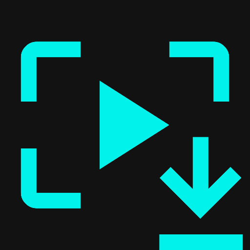 TikTok Story Viewer and Video Downloader